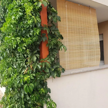 Apartmán Elena With Free Parking And Terrace Zadar